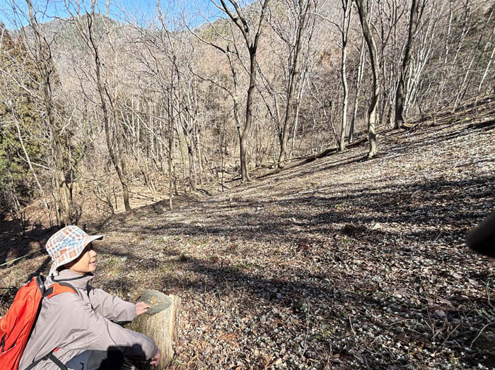 photo10斜面一面にセツブンソウ