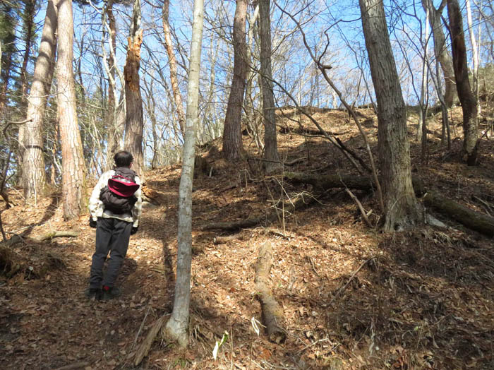 photo8もうすぐ山頂だ