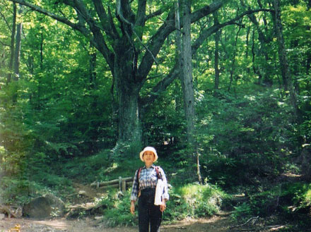 photo：歩き始めは深い森の中・瑞牆山