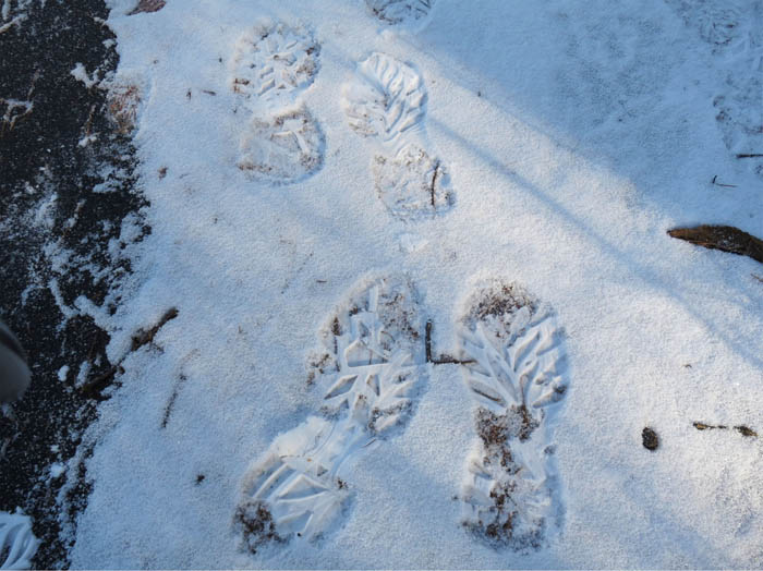 雪に残る私たちの足跡