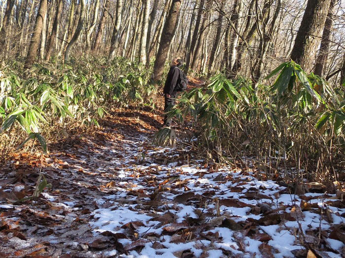 雪の残る稜線