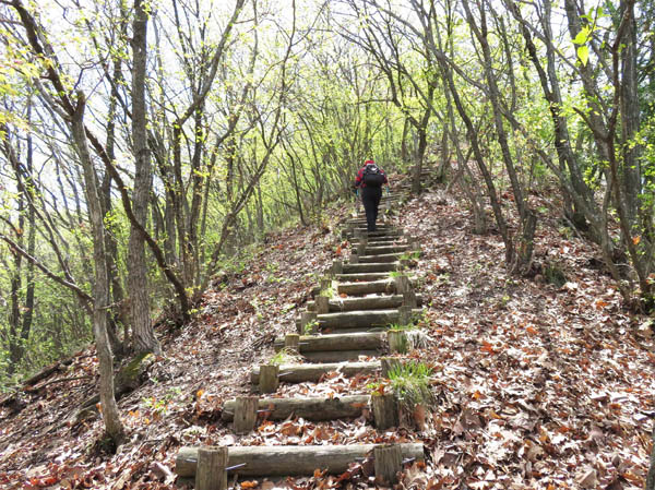 photo：城跡まで延々と続く階段・井上山