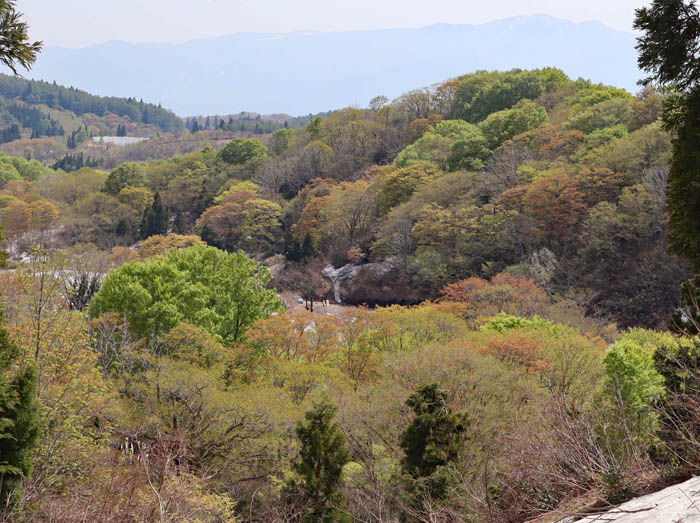 photo：新緑・袴岳登山道から赤池方面