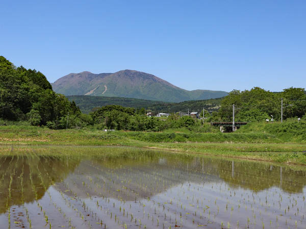 photo：水田に映るいい縄山（左矢筒山の森）