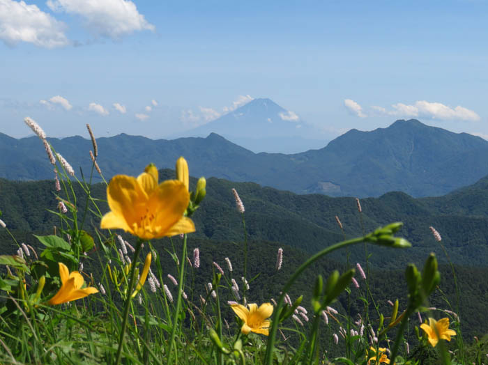 photo：お花畑と富士：飯盛山