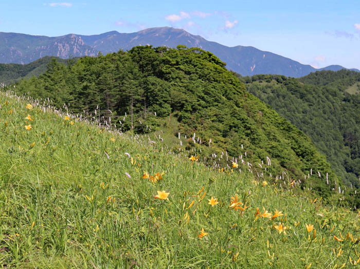 photo：金峰山（中央奥）と瑞牆山（左奥）：大盛山